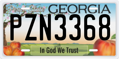 GA license plate PZN3368