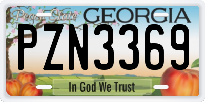 GA license plate PZN3369