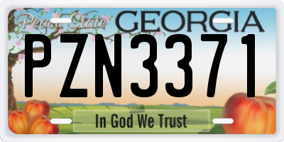 GA license plate PZN3371