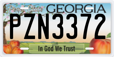 GA license plate PZN3372