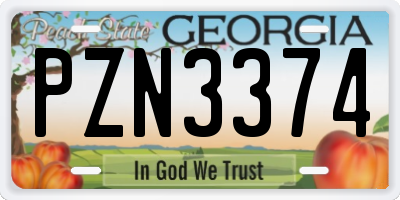 GA license plate PZN3374