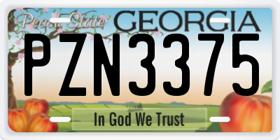 GA license plate PZN3375