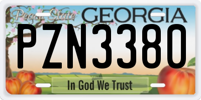 GA license plate PZN3380