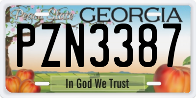 GA license plate PZN3387