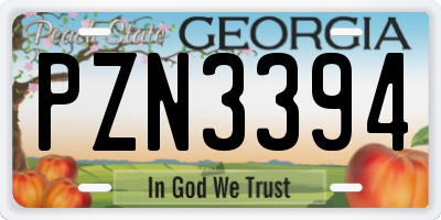 GA license plate PZN3394