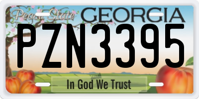 GA license plate PZN3395