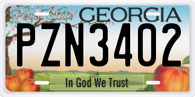 GA license plate PZN3402