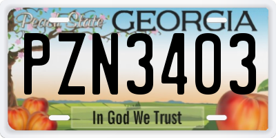 GA license plate PZN3403