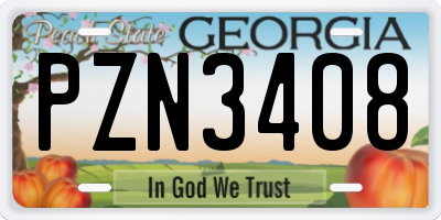 GA license plate PZN3408