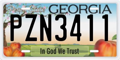GA license plate PZN3411