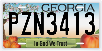 GA license plate PZN3413