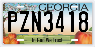 GA license plate PZN3418