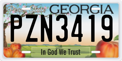 GA license plate PZN3419