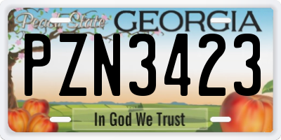 GA license plate PZN3423