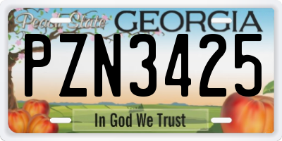 GA license plate PZN3425
