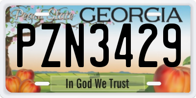 GA license plate PZN3429