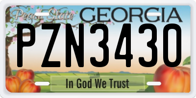 GA license plate PZN3430