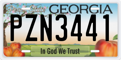 GA license plate PZN3441