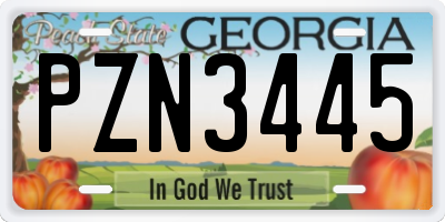 GA license plate PZN3445