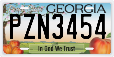GA license plate PZN3454