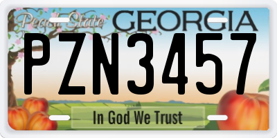 GA license plate PZN3457