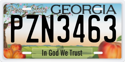 GA license plate PZN3463