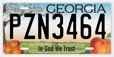 GA license plate PZN3464
