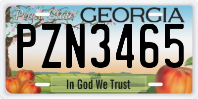 GA license plate PZN3465