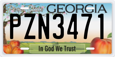 GA license plate PZN3471