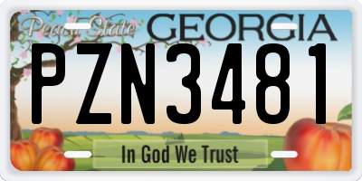 GA license plate PZN3481