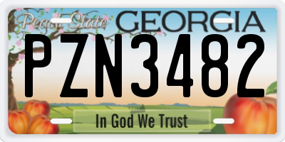 GA license plate PZN3482
