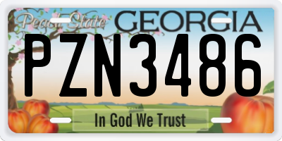 GA license plate PZN3486