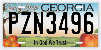 GA license plate PZN3496