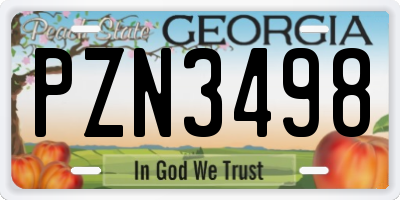 GA license plate PZN3498