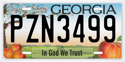 GA license plate PZN3499