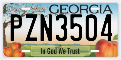 GA license plate PZN3504