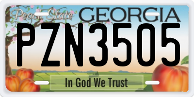 GA license plate PZN3505