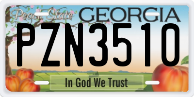GA license plate PZN3510