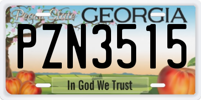 GA license plate PZN3515