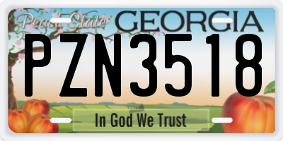 GA license plate PZN3518