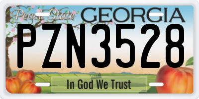 GA license plate PZN3528