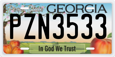 GA license plate PZN3533