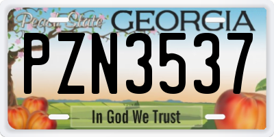 GA license plate PZN3537
