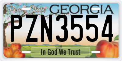 GA license plate PZN3554