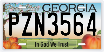 GA license plate PZN3564