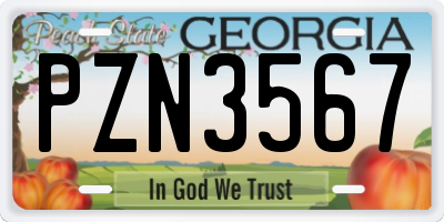 GA license plate PZN3567
