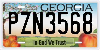 GA license plate PZN3568