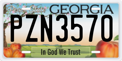 GA license plate PZN3570