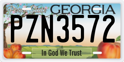 GA license plate PZN3572