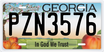 GA license plate PZN3576